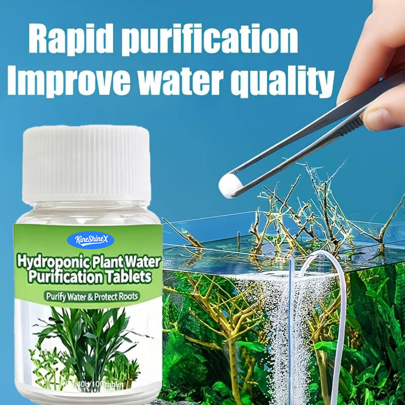 Aquarium Plant Delivery - Compresse per la Purificazione dell'Acqua Idroponica