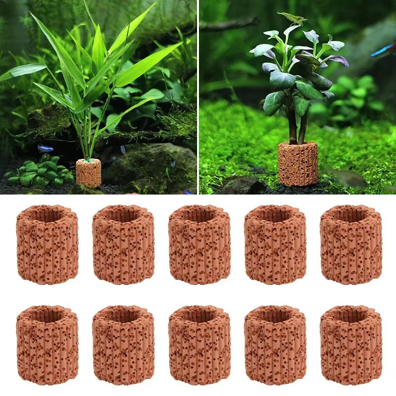 Aquarium Plant Live - Anello fisso per piante acquatiche per