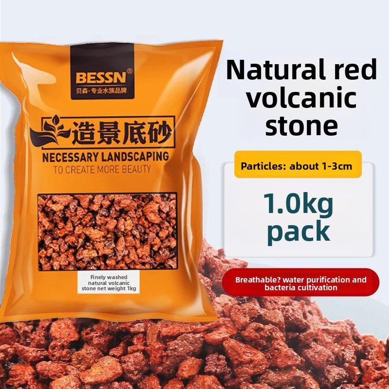 Planted Aquarium With Gravel - BESSN Substrato per acquario con roccia