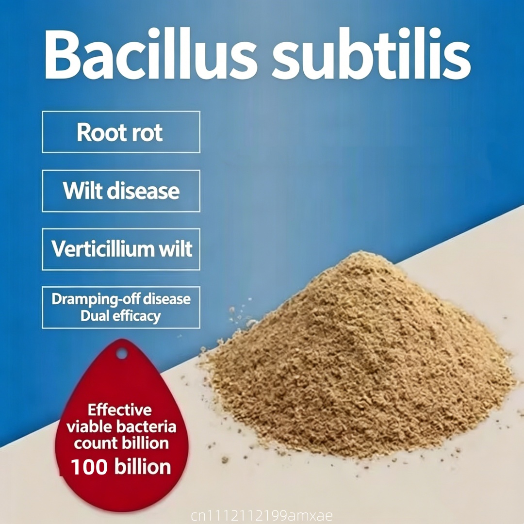 Planted Aquarium Fertilizer - Polvere di Bacillus Subtilis ad alta