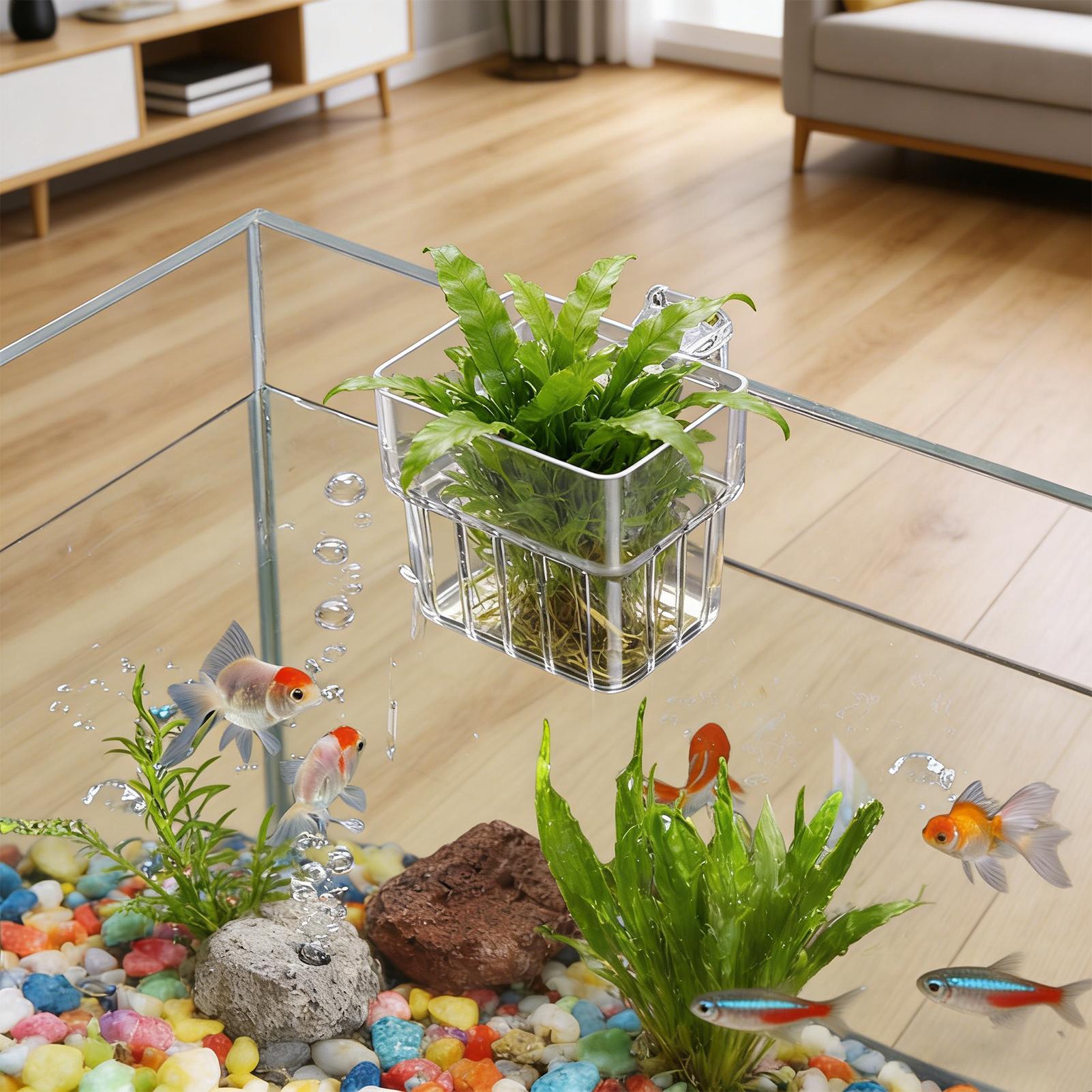 Aquarium Plant Live - Vaso Trasparente Appendibile per Piante d'Acquario,