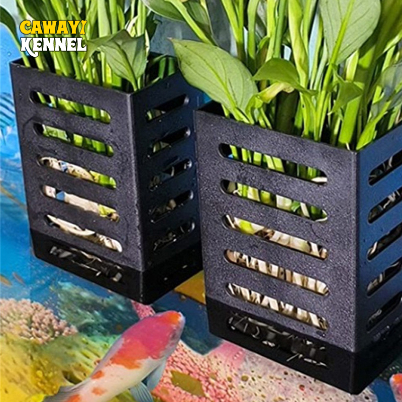Aquarium Plant Live - Decorazioni per acquari per animali domestici
