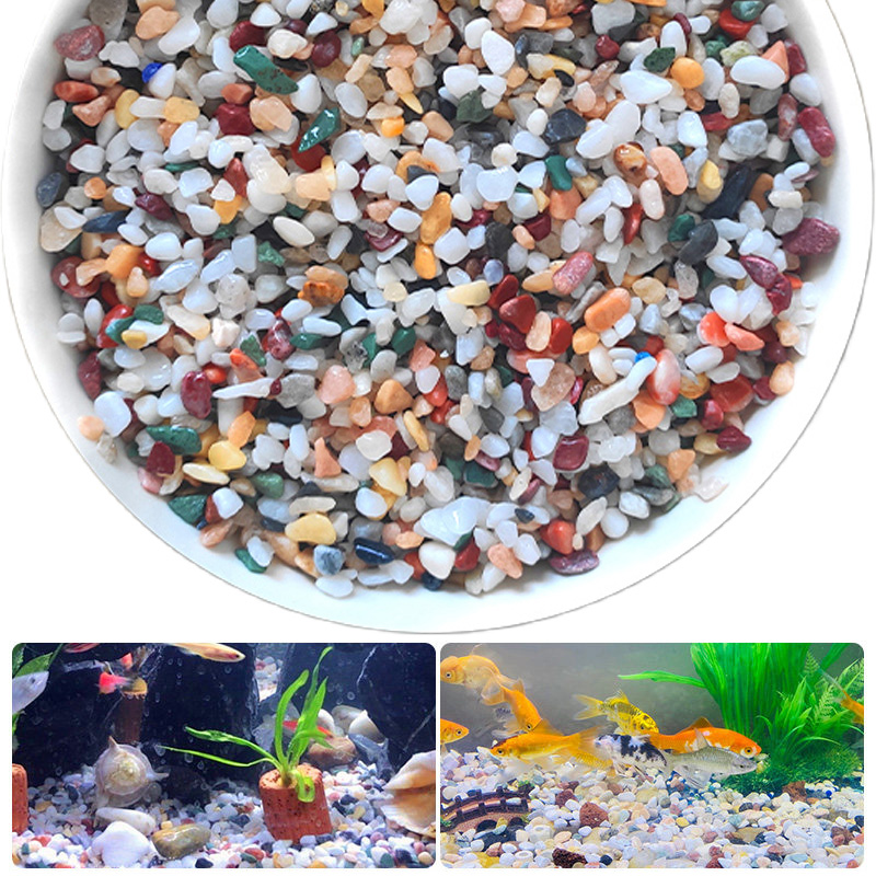 Planted Aquarium With Gravel - Pietra di ghiaia naturale 200~1000g per