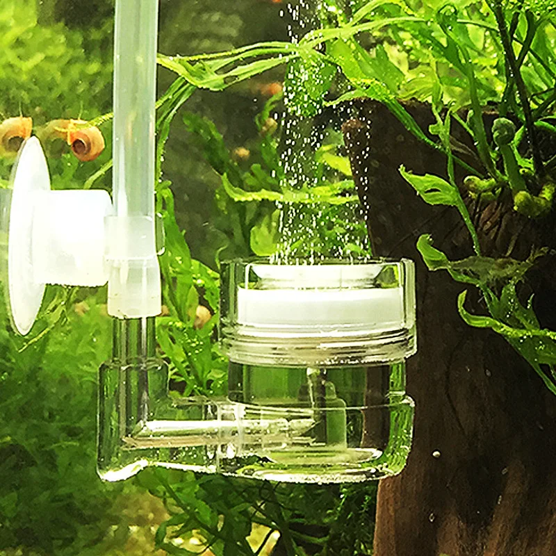 Aquarium Plant Live - Acquario 4 in 1 Diffusore di