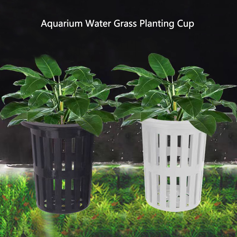 Aquarium Plant Live - 1/3 pezzi cesto per piante d'acquario