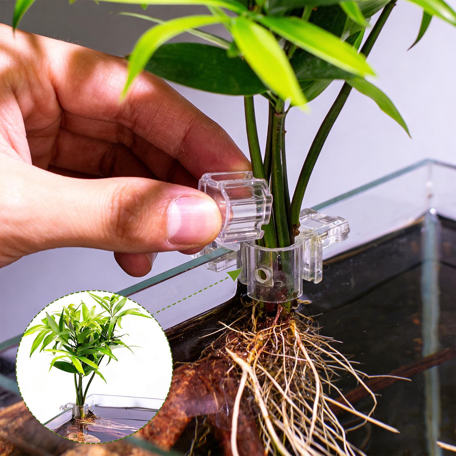 Aquarium Plant Live - Set di 6 Supporti Trasparenti per