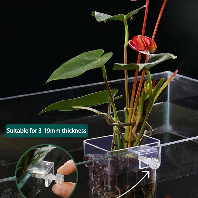 Aquarium Planted Tank - Multifunzionale Fish Aquarium Water Grass Planting