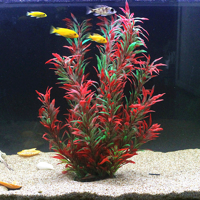 Aquarium Planted Tank - 50CM Acquario artificiale Piante rare Acquario