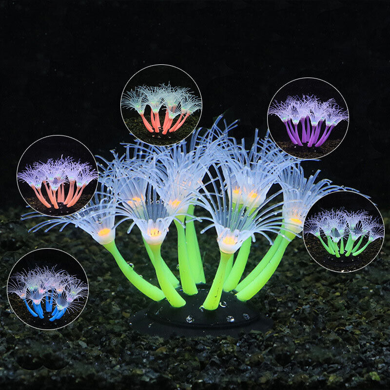 Decorazioni Subacquee in Silic - Aquarium Plant Live recensione e prezzo