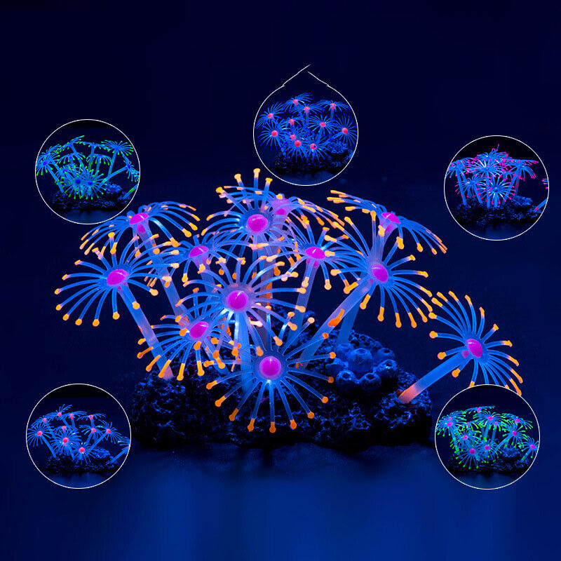 Decorazioni Subacquee in Silic - Aquarium Plant Live recensione e prezzo