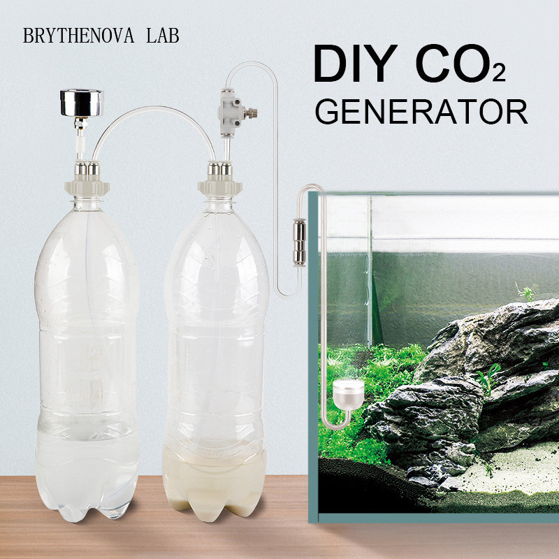 Generatore di CO2 per Acquario - Aquarium Plant Delivery recensione e prezzo
