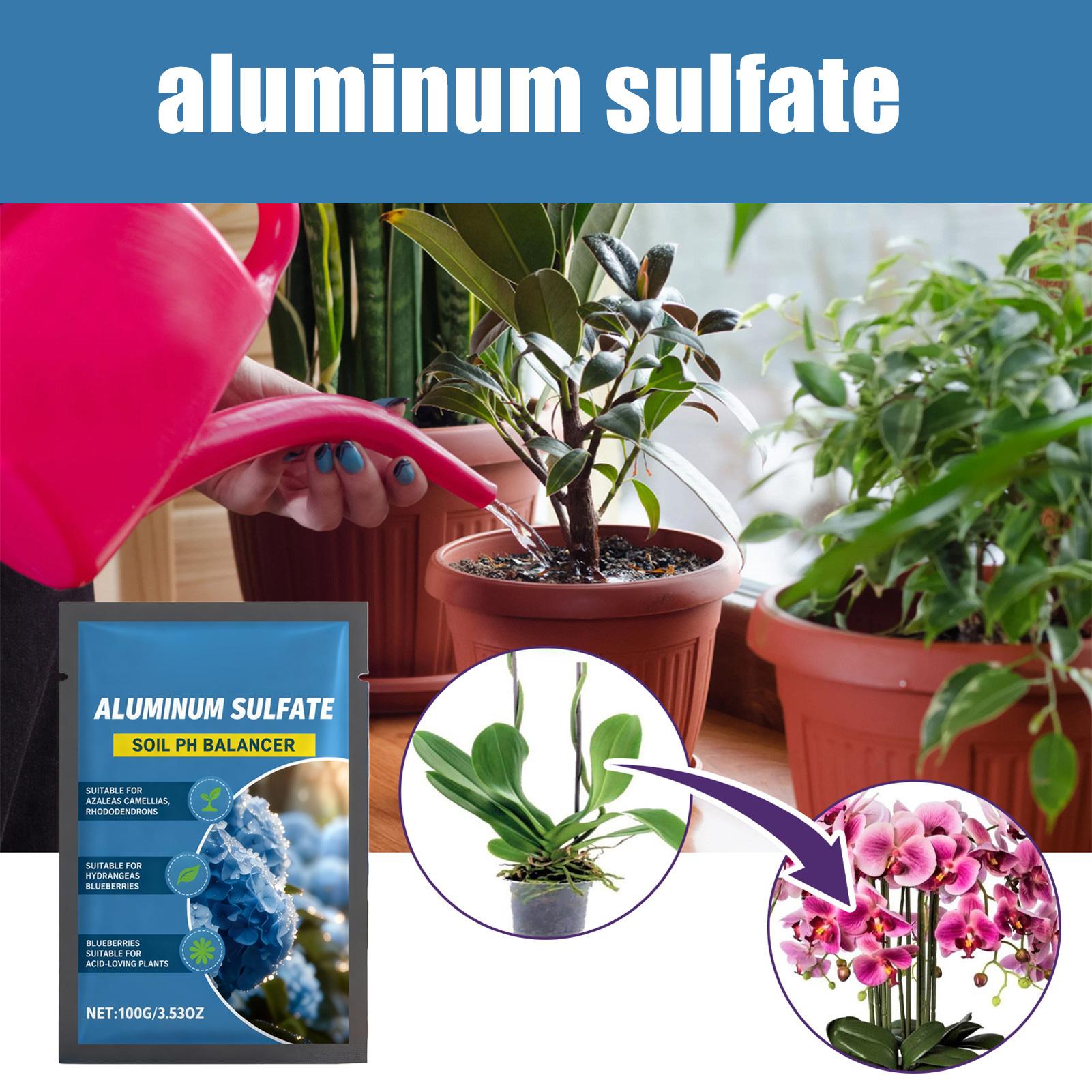 Acido Concentrato PH Down: Int - Tissue Culture Plant recensione e prezzo