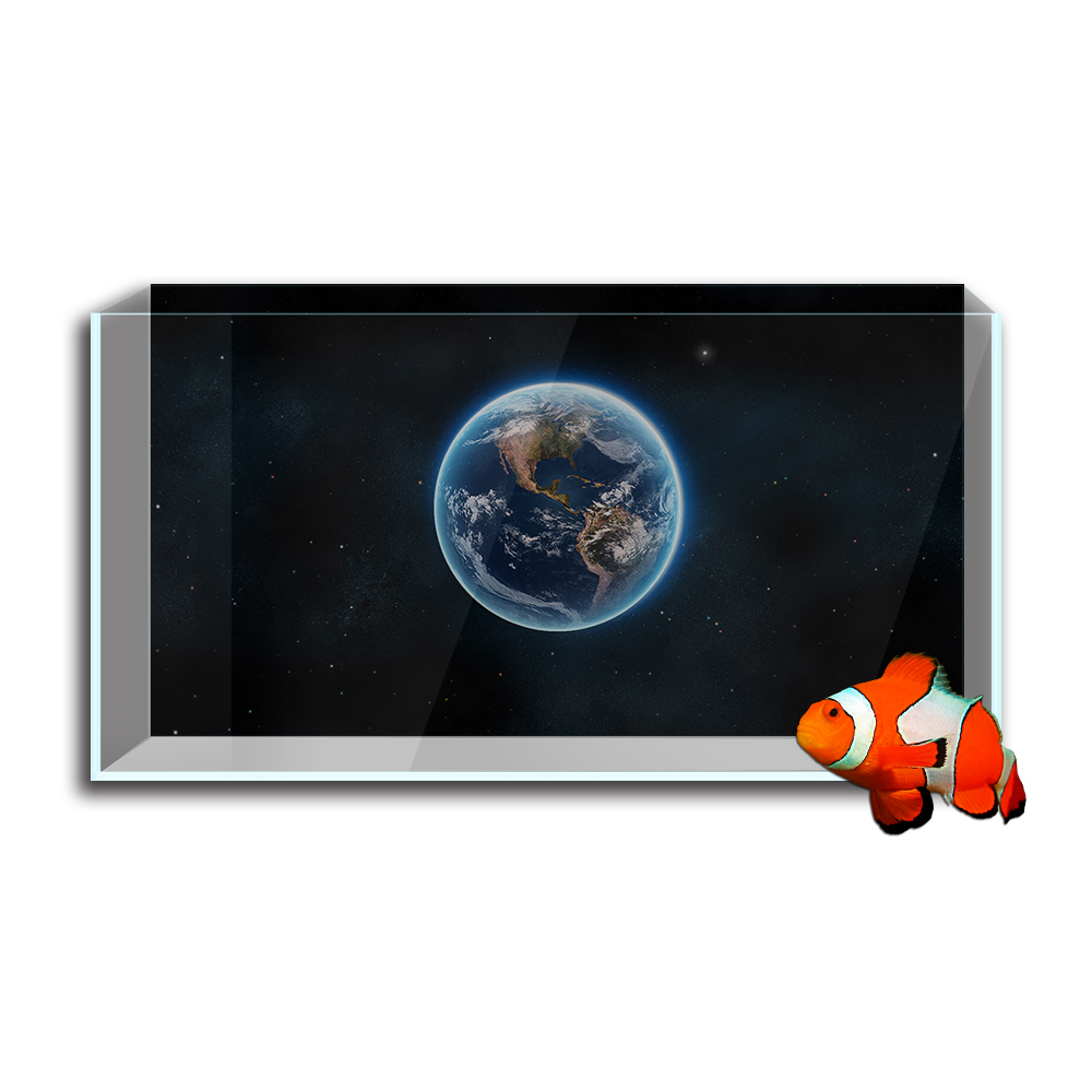 Adesivo per sfondo acquario pe - Aquarium Planet recensione e prezzo