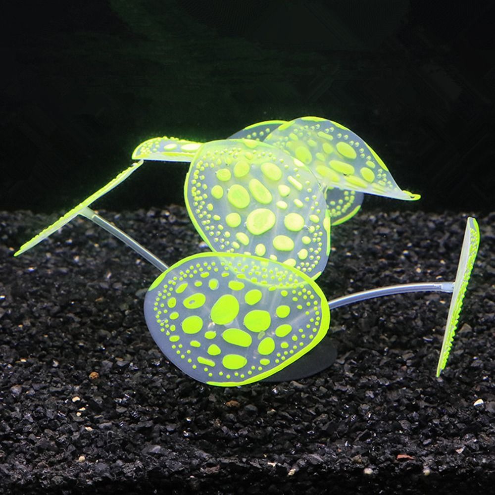 Silicone Silicone piante lumin - Aquarium Planet recensione e prezzo