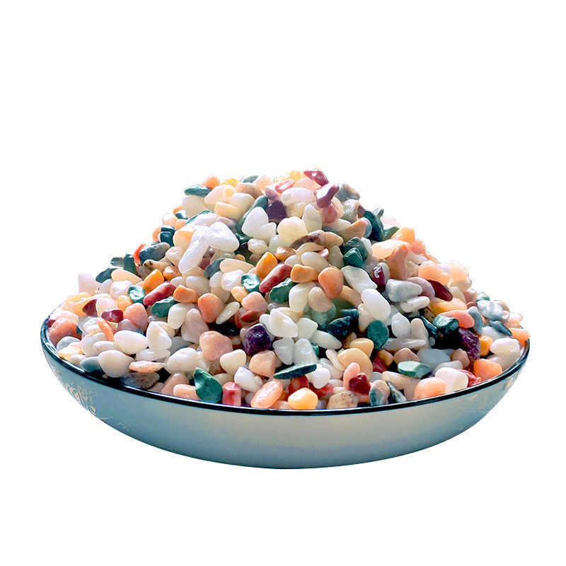 Sabbia naturale per acquario d - Planted Aquarium With Gravel recensione e prezzo