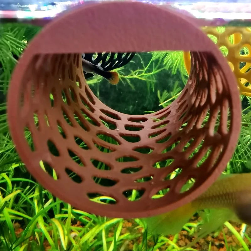 Tunnel Galleggiante per Betta, - Aquarium Plant Live recensione e prezzo