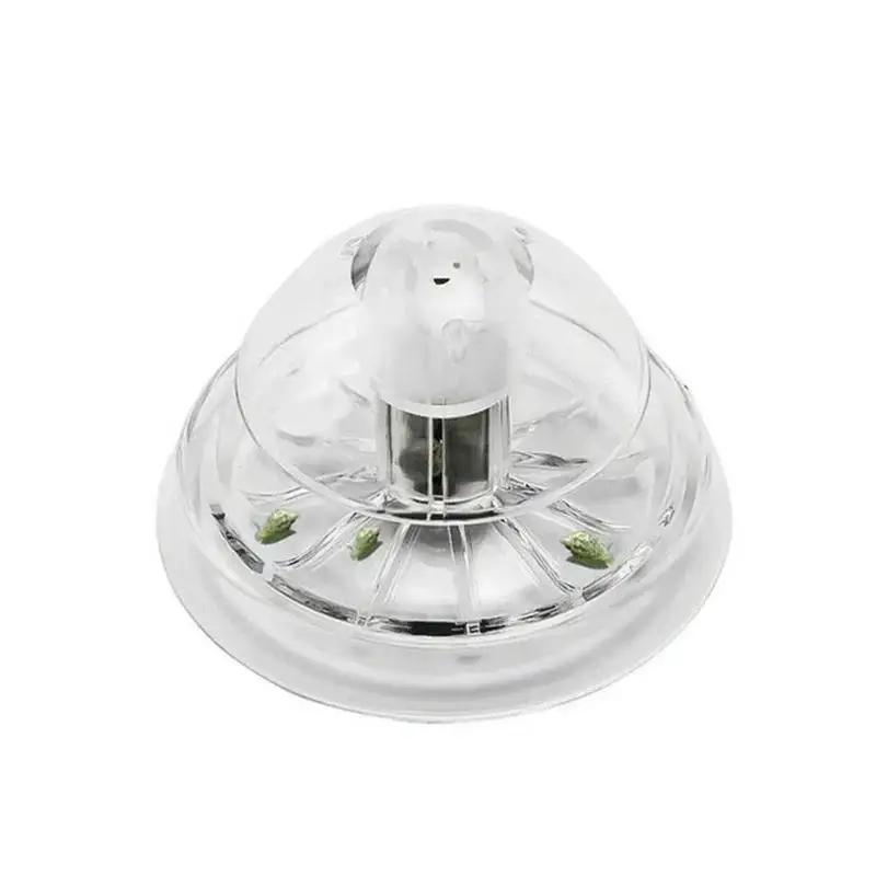Nuova Trappola per Lumache in  - Aquarium Planted Tank recensione e prezzo