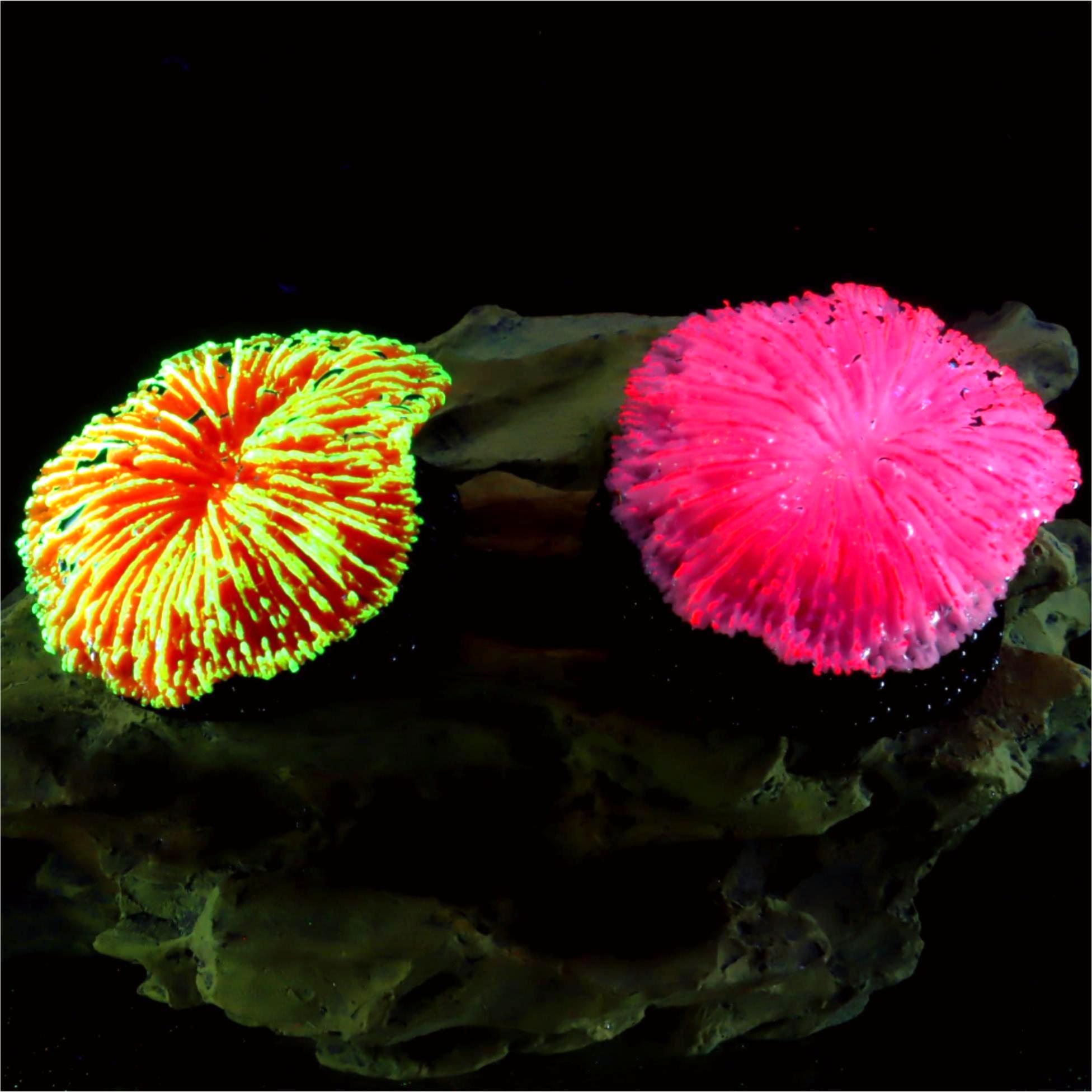 1 piece aquarium decoration sa - Aquarium Planet recensione e prezzo