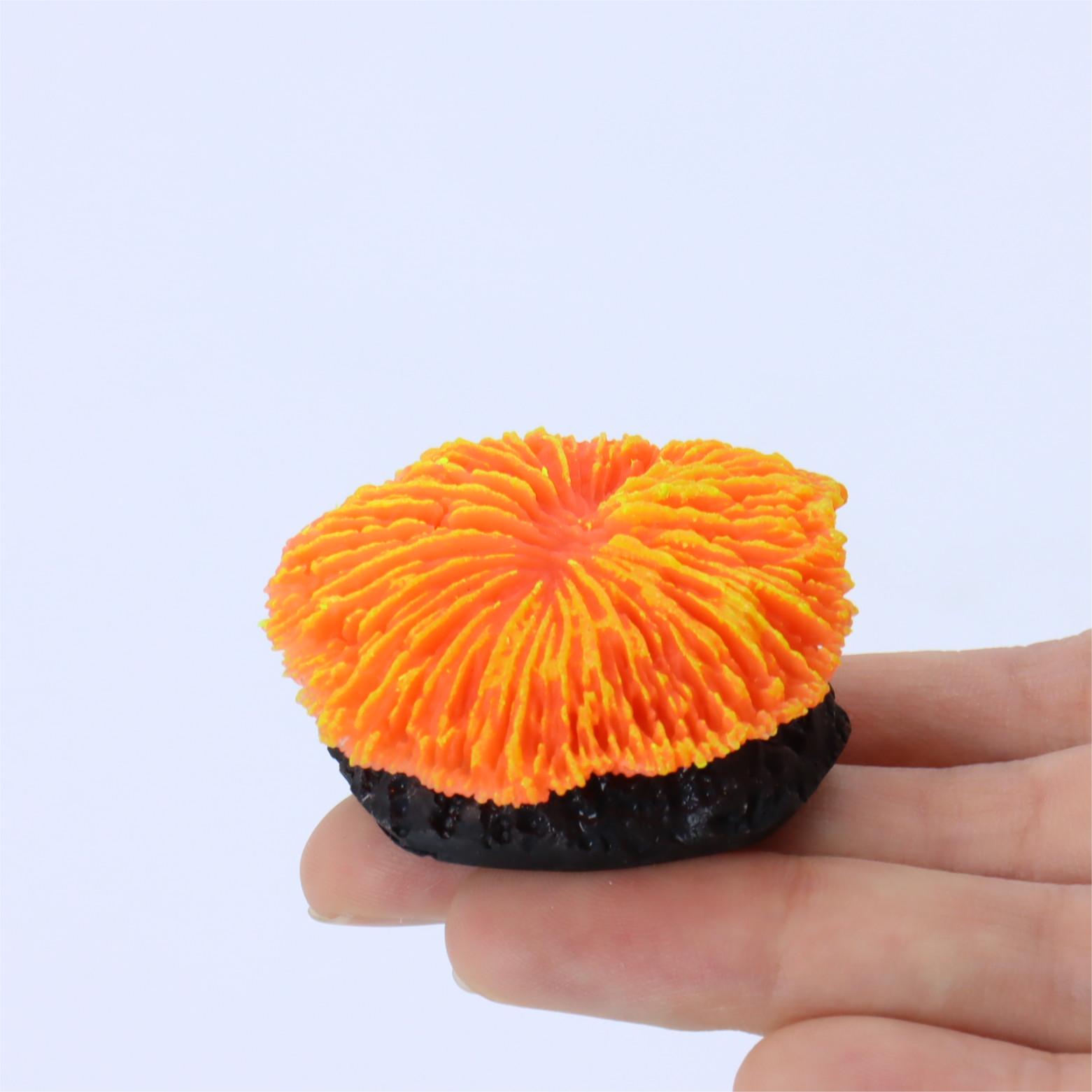 1 piece aquarium decoration sa - Aquarium Planet recensione e prezzo