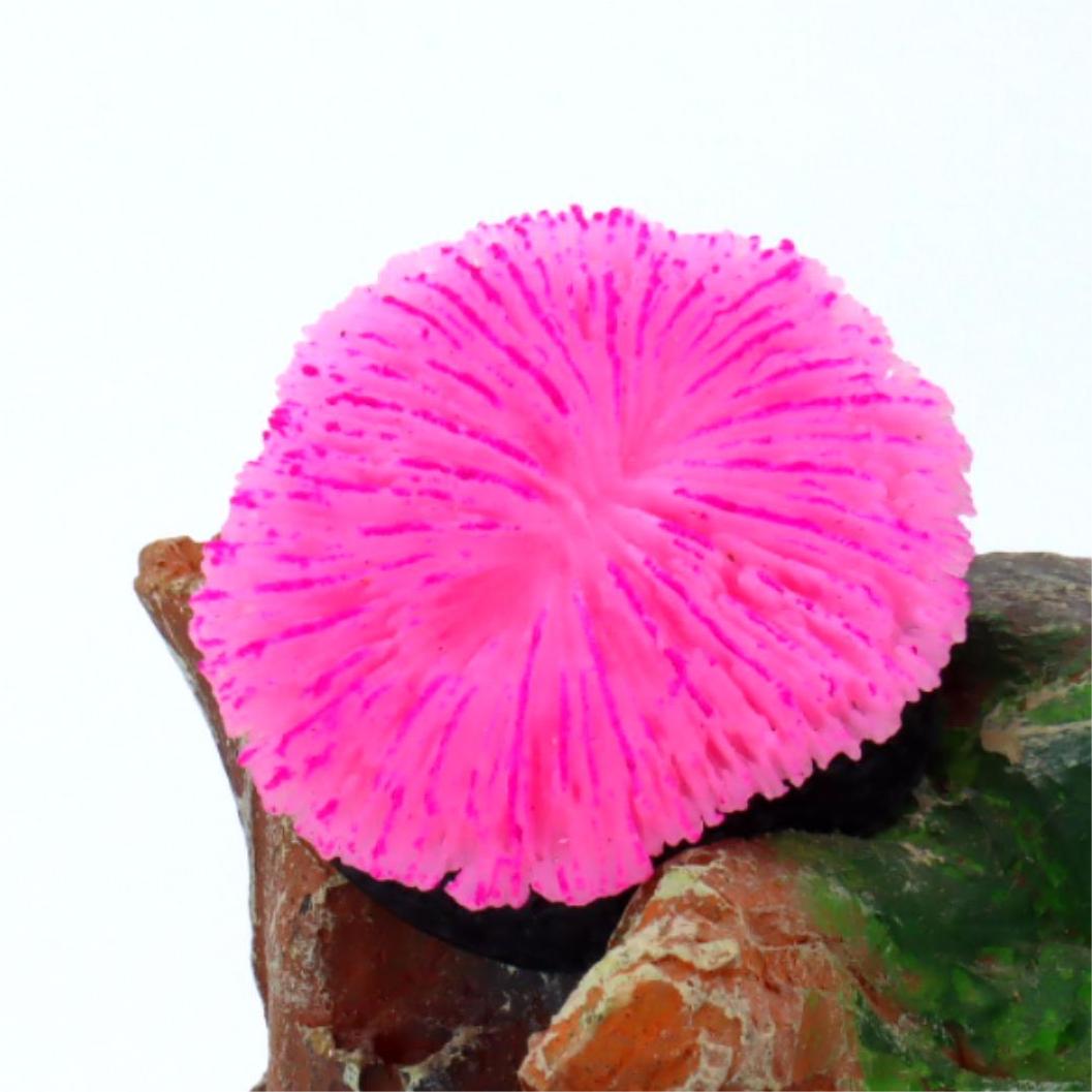 1 piece aquarium decoration sa - Aquarium Planet recensione e prezzo