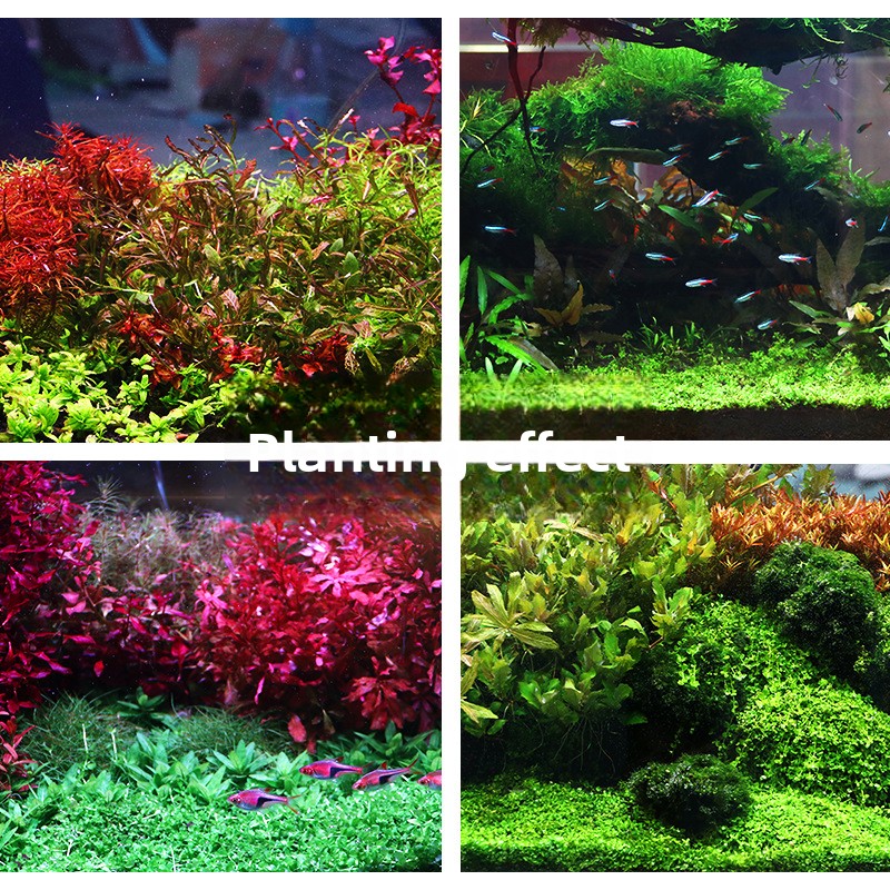 SYSENCIAGA Substrato per acqua - Planted Aquarium Fertilizer recensione e prezzo