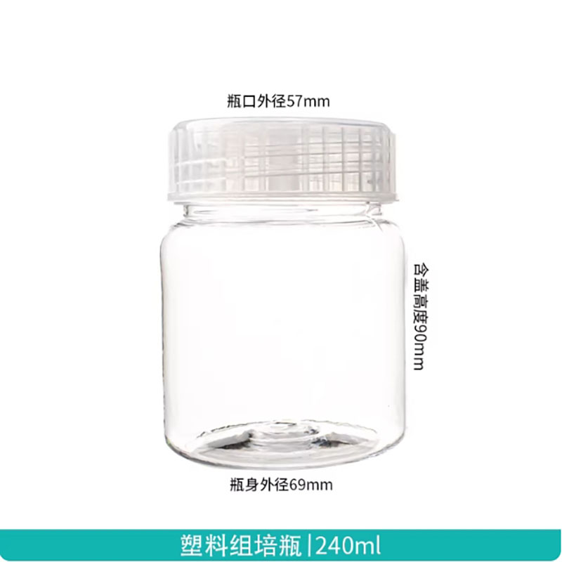 10 bottiglie in plastica per c - Tissue Culture Plant recensione e prezzo
