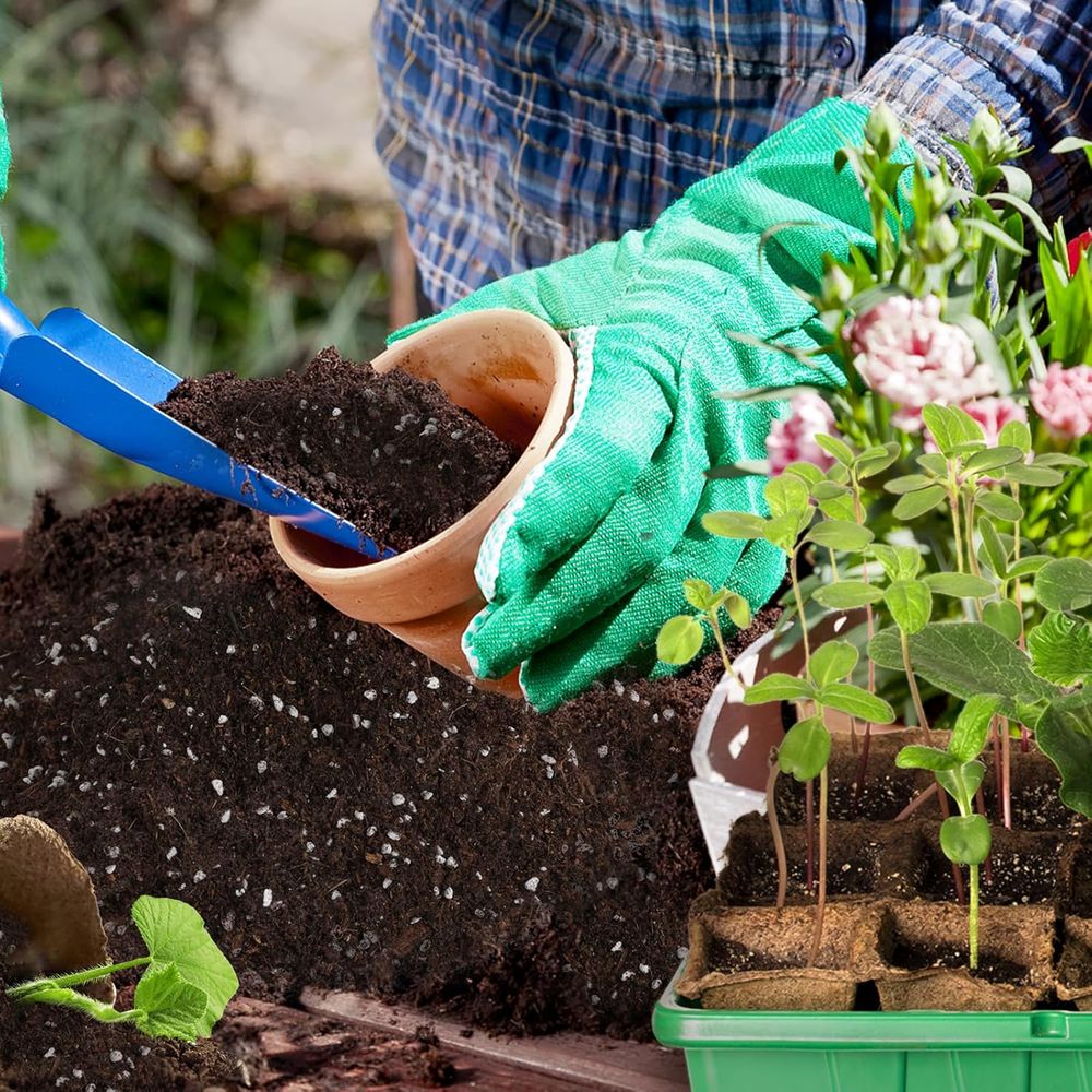 Miscela di Terreno Premium per - Tissue Culture Plant recensione e prezzo