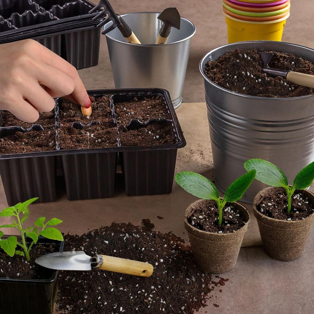 Miscela di Terreno Premium per - Tissue Culture Plant recensione e prezzo