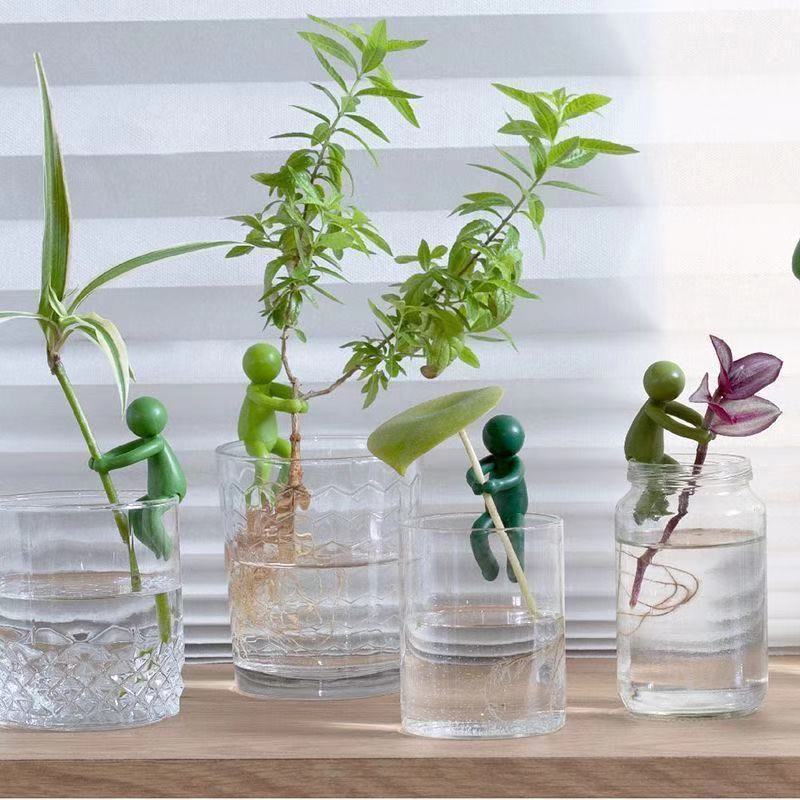 Figurina Ornamentale per Fissa - Tissue Culture Plant recensione e prezzo