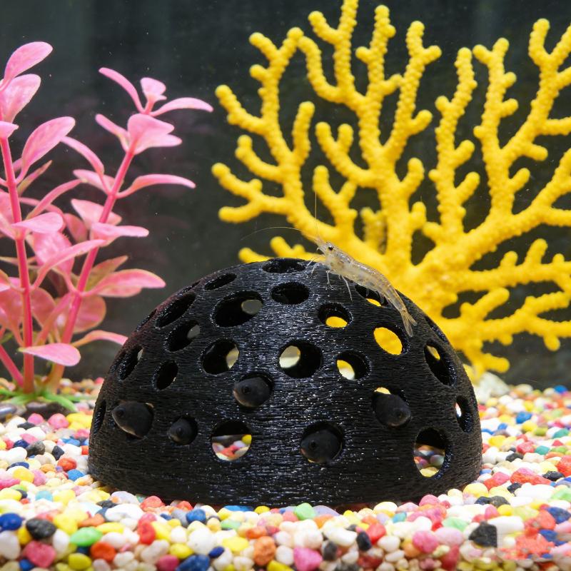 Caverna Nascosta per Acquario, - Aquarium Plant Live recensione e prezzo