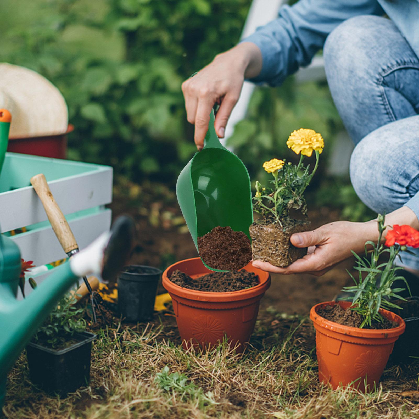 Pala da Giardinaggio Grande Ca - Tissue Culture Plant recensione e prezzo