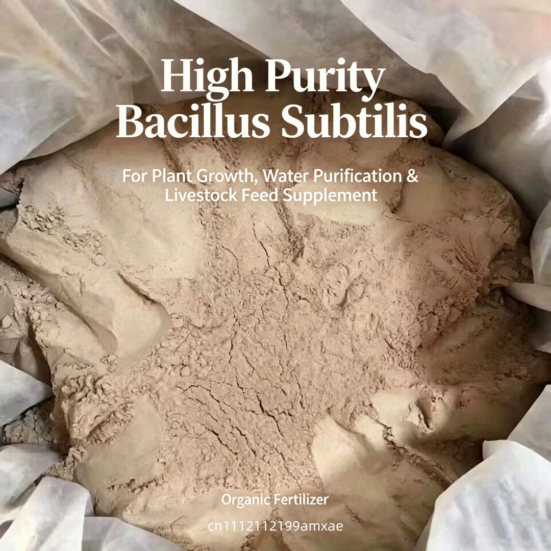 Polvere di Bacillus Subtilis a - Planted Aquarium Fertilizer recensione e prezzo