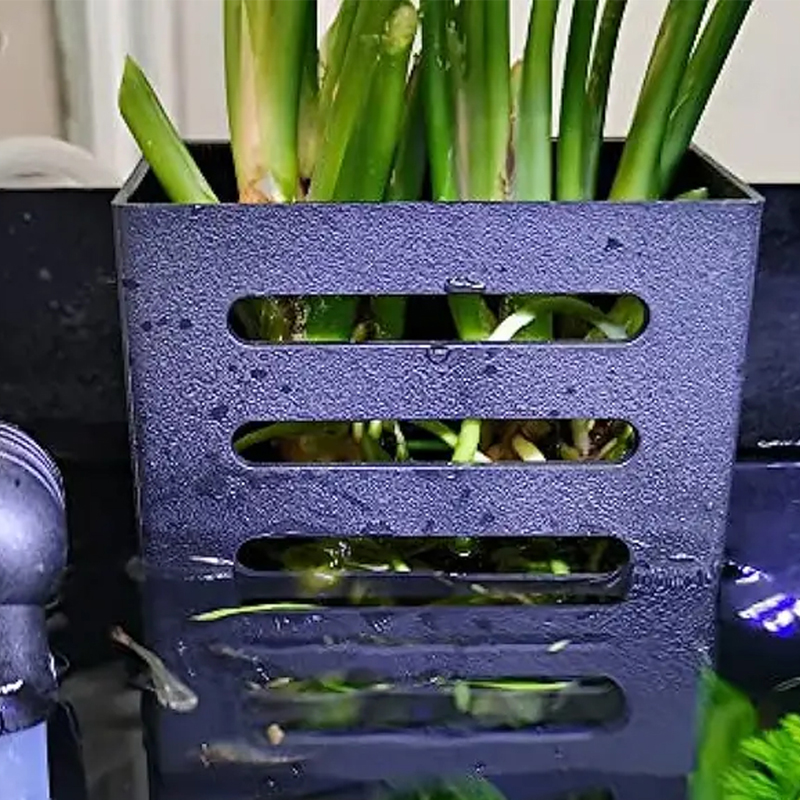 Decorazioni per acquari per an - Aquarium Plant Live recensione e prezzo