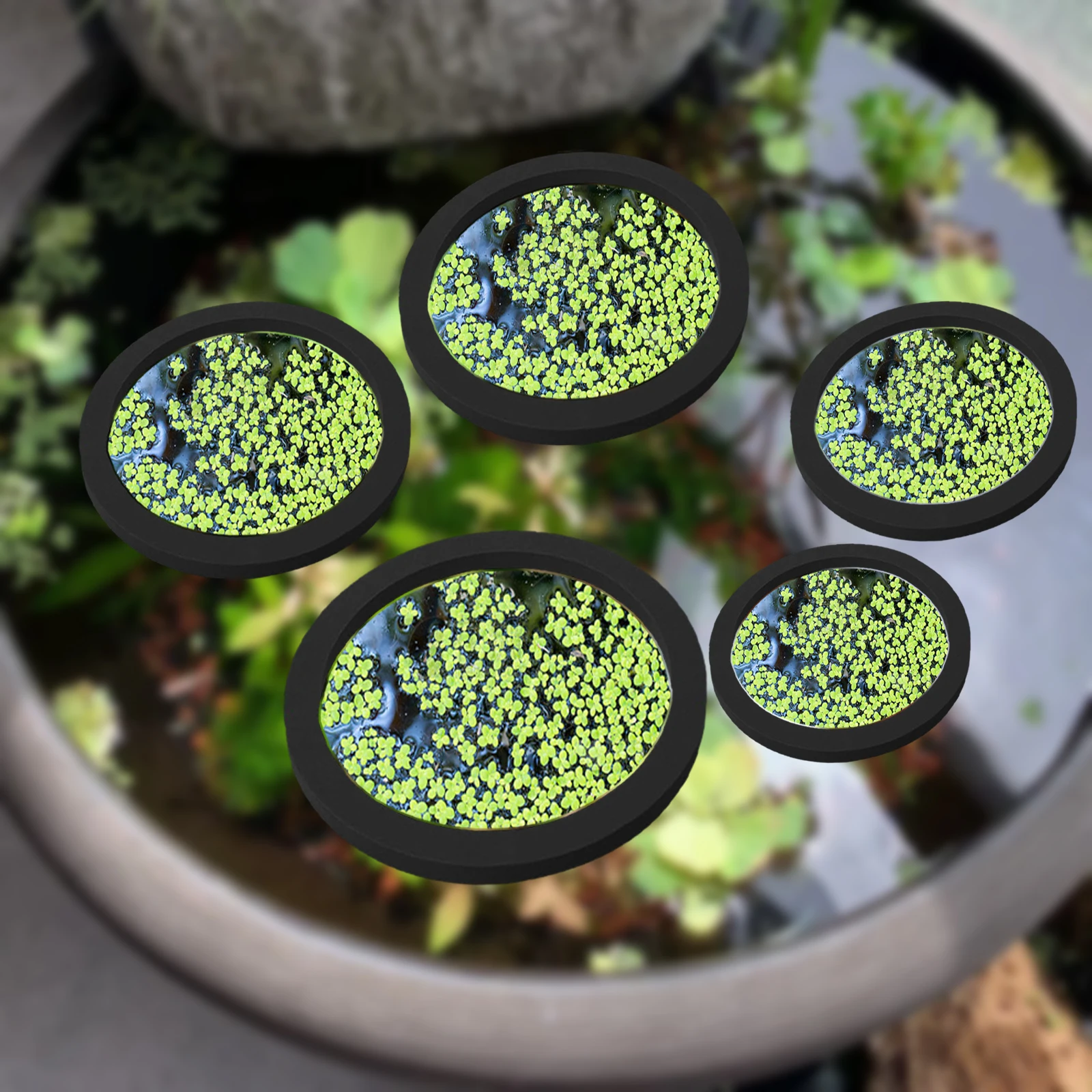 5 pz EVA Anello di Alimentazio - Aquarium Planted Tank recensione e prezzo