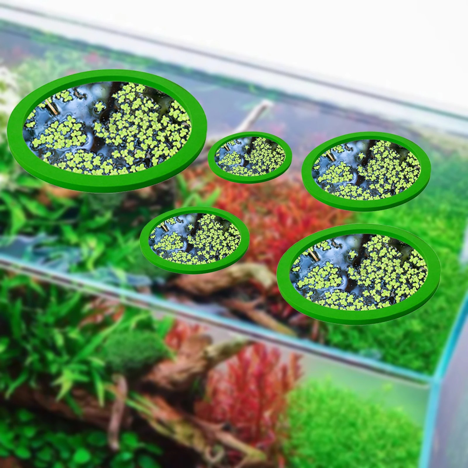 5 pz EVA Anello di Alimentazio - Aquarium Planted Tank recensione e prezzo