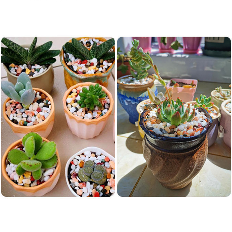 Accessori Fai-da-Te per Fondo  - Planted Aquarium With Gravel recensione e prezzo