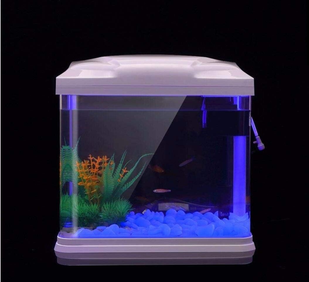 Rocce per acquari che si illum - Aquarium Planted Tank recensione e prezzo