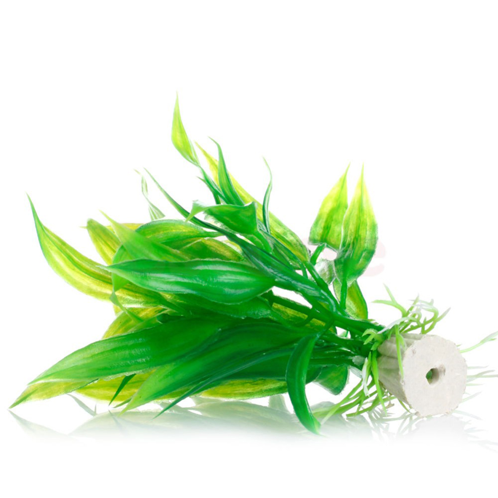 15CM/10CM ornamenti per piante - Aquarium Plant Live recensione e prezzo