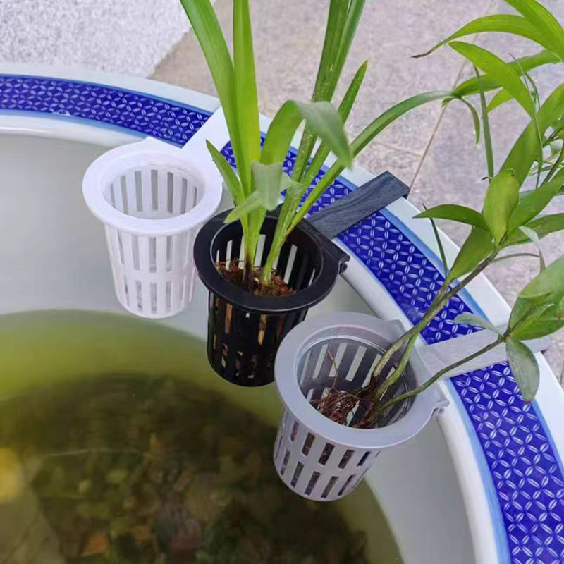 1/3 pezzi cesto per piante d'a - Aquarium Plant Live recensione e prezzo