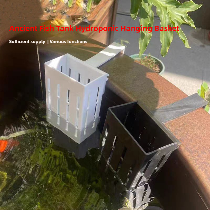 1/3 pezzi cesto per piante d'a - Aquarium Plant Live recensione e prezzo