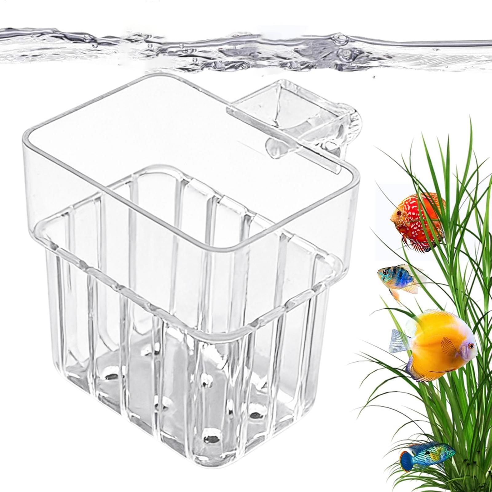 Supporto Trasparente per Piant - Aquarium Plant Live recensione e prezzo