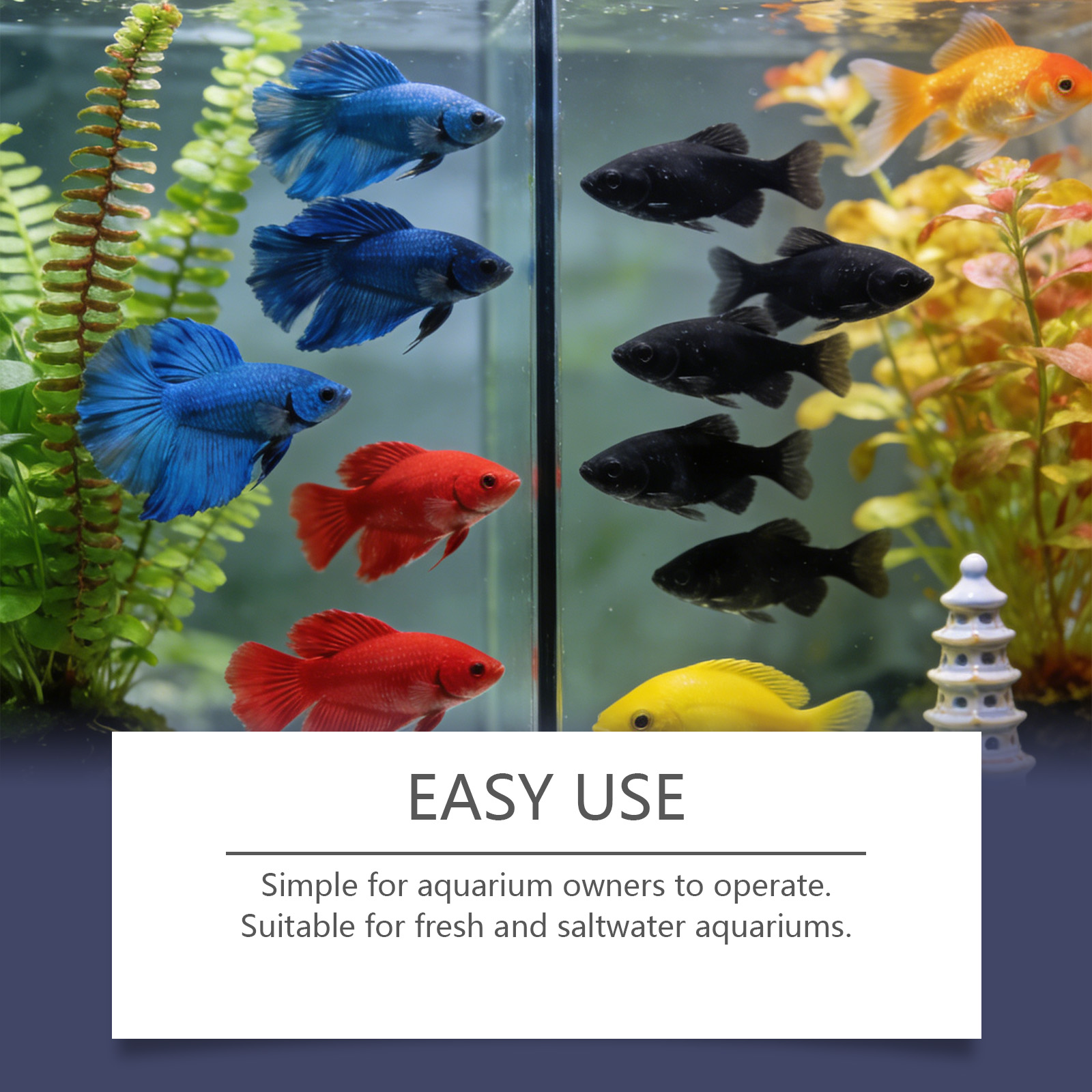 Pastiglie Rimuovi Alghe per Ac - Planted Aquarium Cloudy Water recensione e prezzo