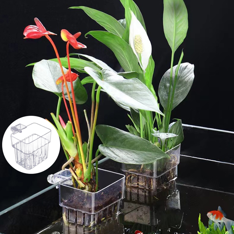 Multifunzionale Fish Aquarium  - Aquarium Planted Tank recensione e prezzo
