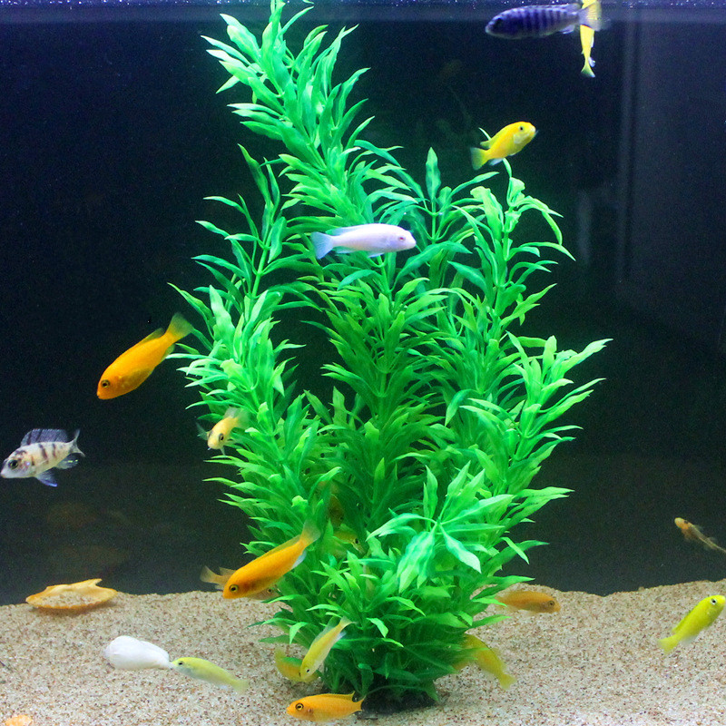 50CM Acquario artificiale Pian - Aquarium Planted Tank recensione e prezzo