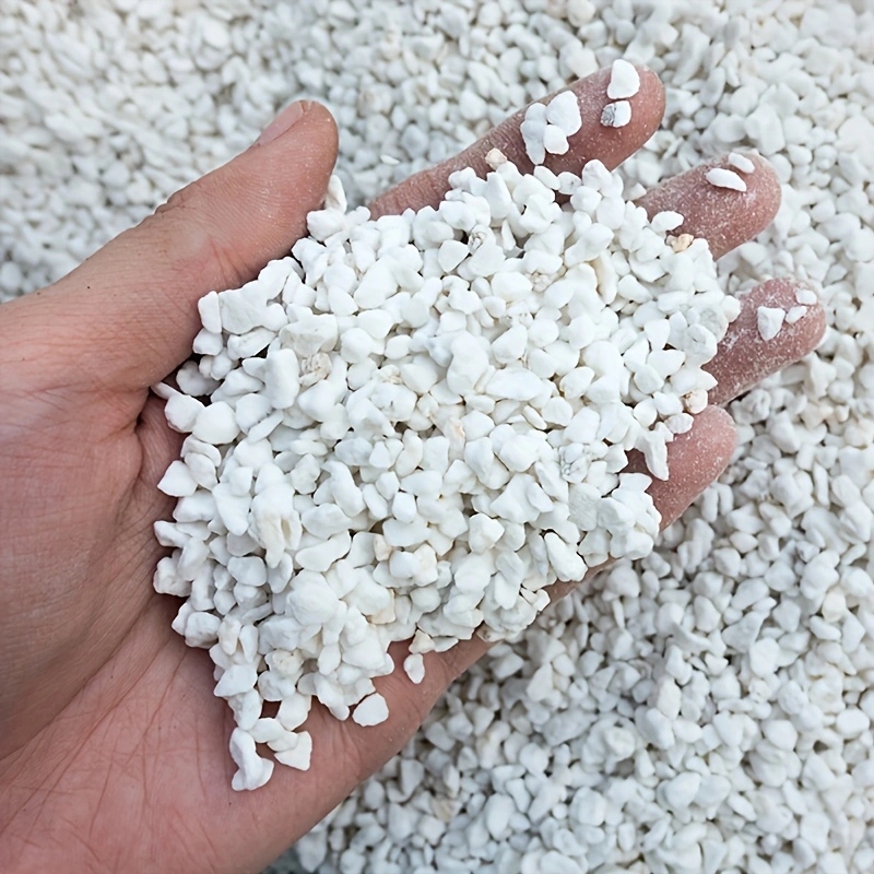 1 Confezione di Perlite Ortico - Tissue Culture Plant recensione e prezzo