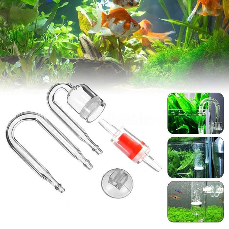 Set da 4 pezzi diffusore di CO - Aquarium Plant Live recensione e prezzo