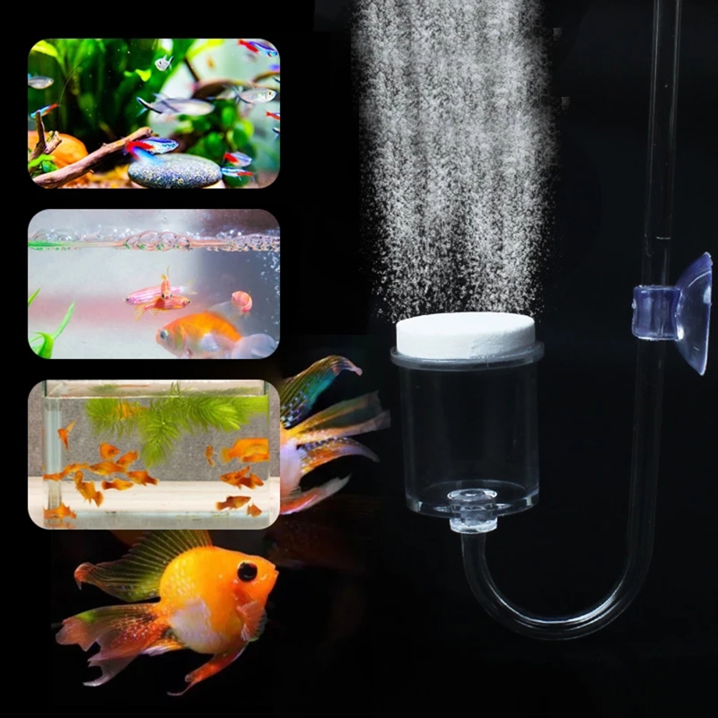 Set da 4 pezzi diffusore di CO - Aquarium Plant Live recensione e prezzo
