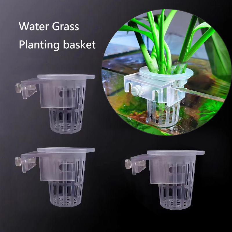 Cesto per piantare acquario Su - Aquarium Plant Live recensione e prezzo