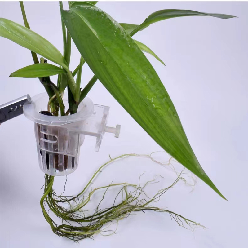 Cesto per piantare acquario Su - Aquarium Plant Live recensione e prezzo